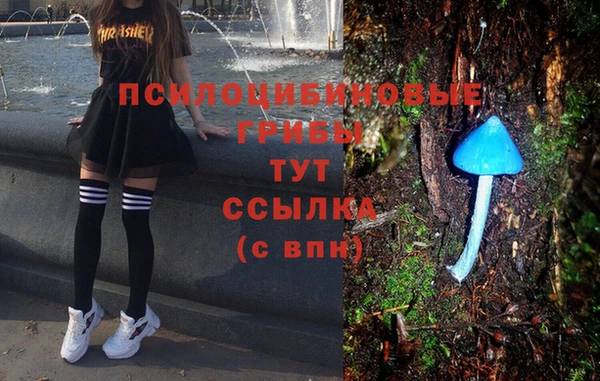 бошки Переславль-Залесский