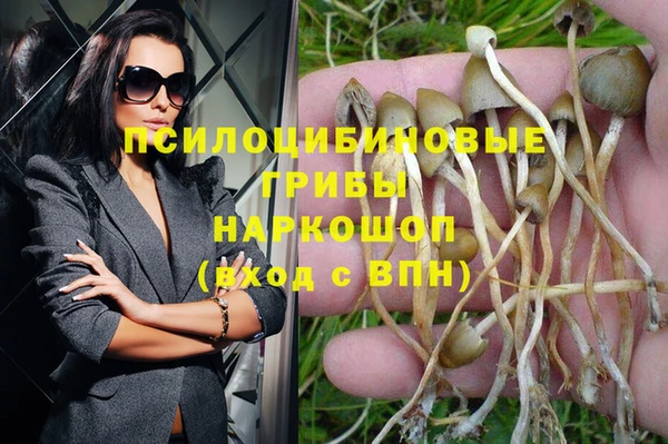 MDMA Premium VHQ Пересвет